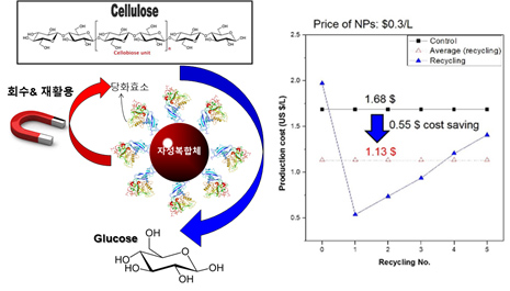 Cellulose, 지정복합체, 당화효소, 회수 & 재활용, 설명이미지