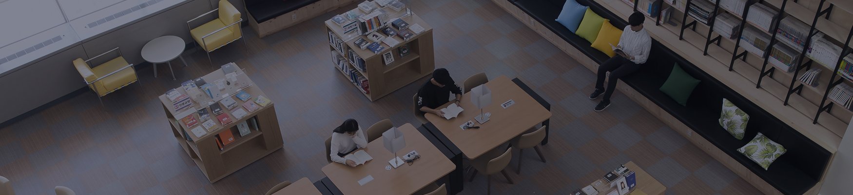 국립대학육성사업