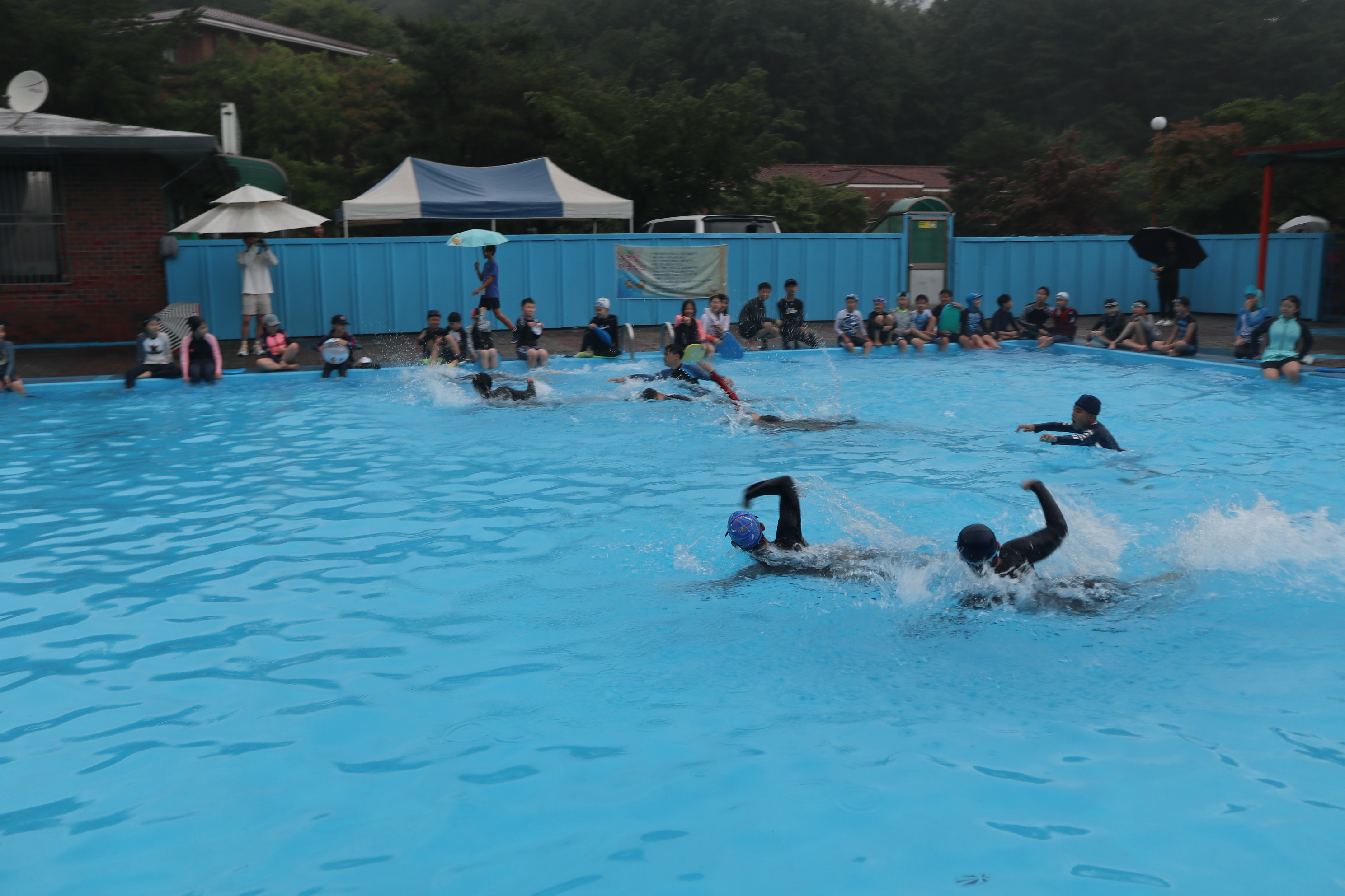 과학영재교육원 | 자료실 | 사진자료실